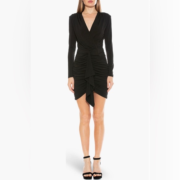 LIKE NEW Alexia Admor Mini Dress - Picture 1 of 9